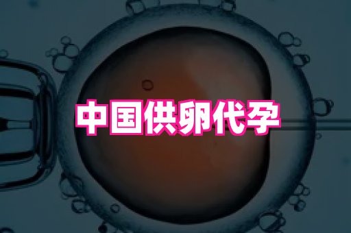 权威助孕网 1