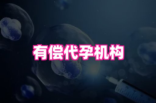 权威助孕网 2