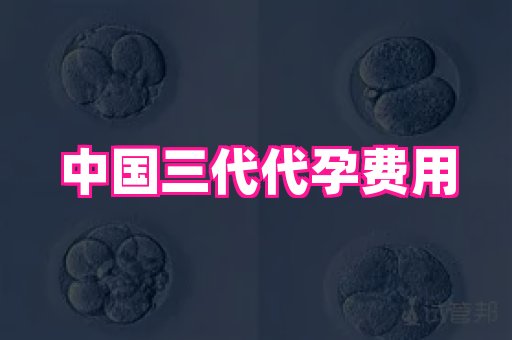 权威助孕网 3